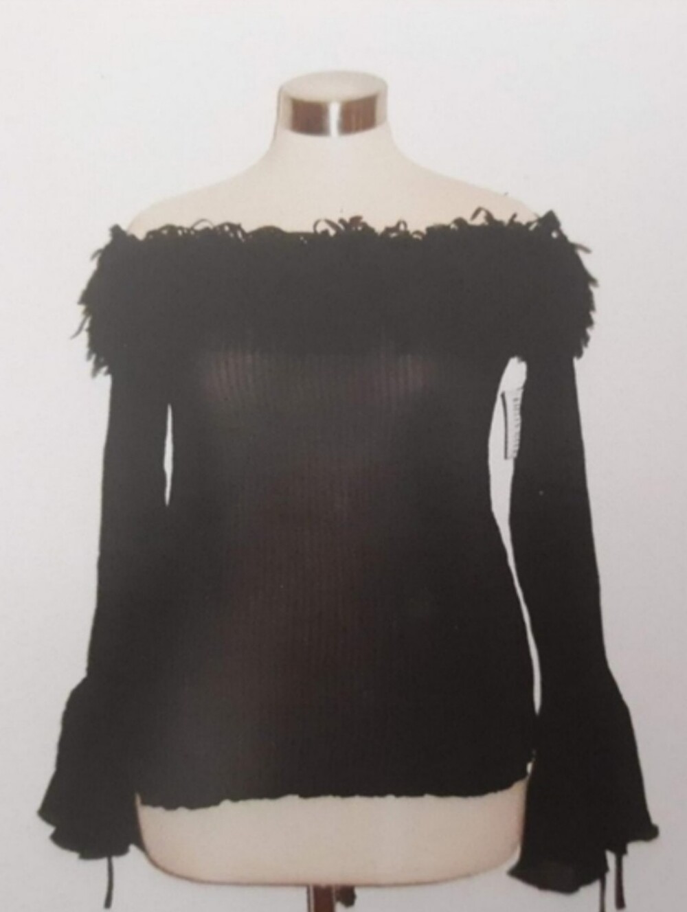 Kaeylyn Max II Off-Shoulder Fringe Detail Sheer Top (Black)
